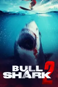 bull-shark-2
