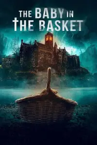 the-baby-in-the-basket