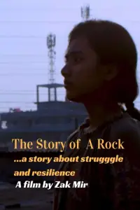the-story-of-a-rock