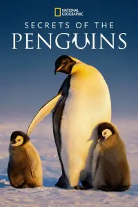 secrets-of-the-penguins