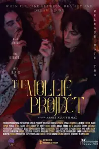 the-mollie-project